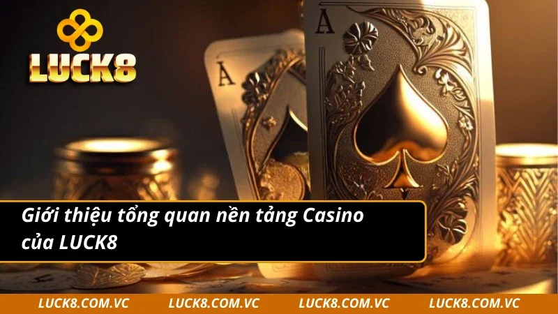 Giới thiệu tổng quan nền tảng Casino LUCK8